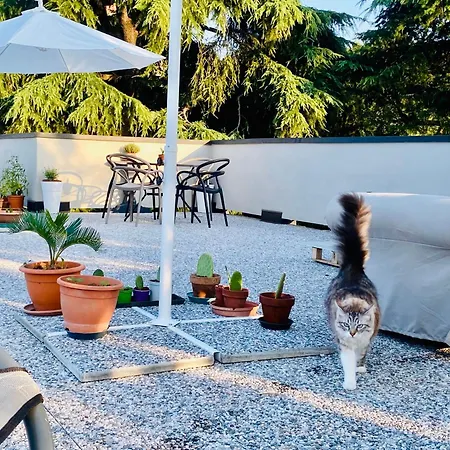 The Luxory Cat Oda ve Kahvaltı Milano