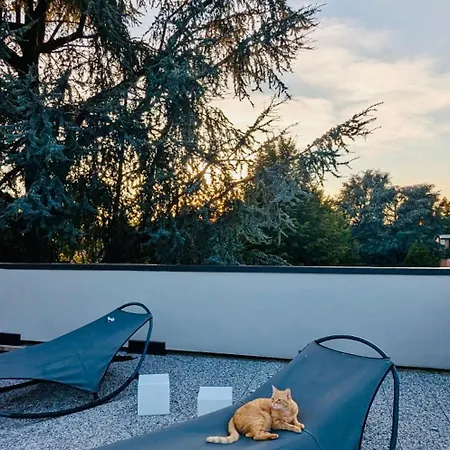 Oda ve Kahvaltı The Luxory Cat