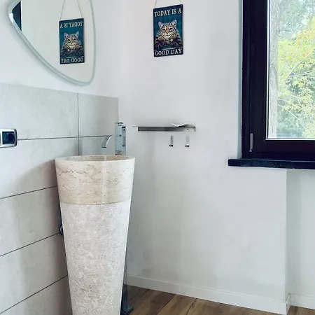 The Luxory Cat Bed and Breakfast 3*
