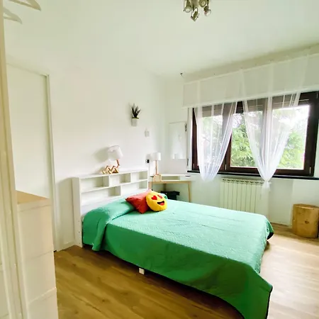 The Luxory Cat Bed and Breakfast