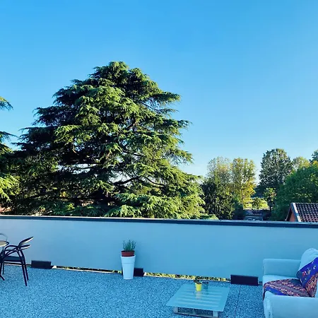 The Luxory Cat Bed and Breakfast Μιλάνο