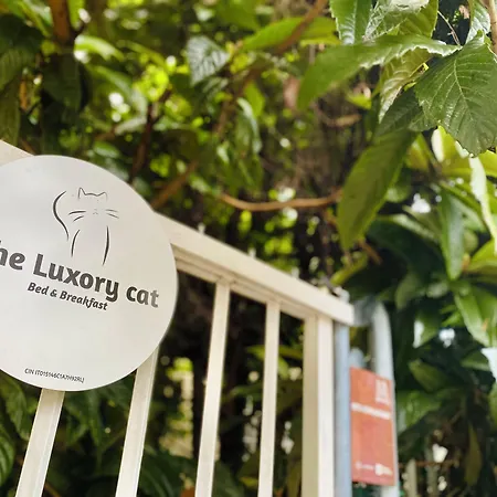 The Luxory Cat Bed and Breakfast 3*