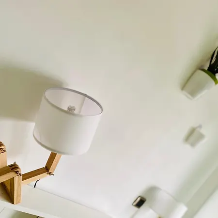 The Luxory Cat Bed and breakfast