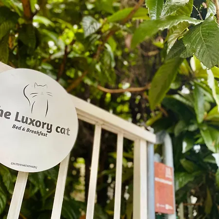 The Luxory Cat * Milán