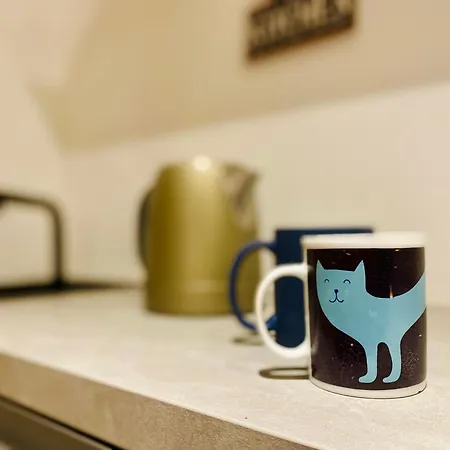 לינה וארוחת בוקר The Luxory Cat 3*