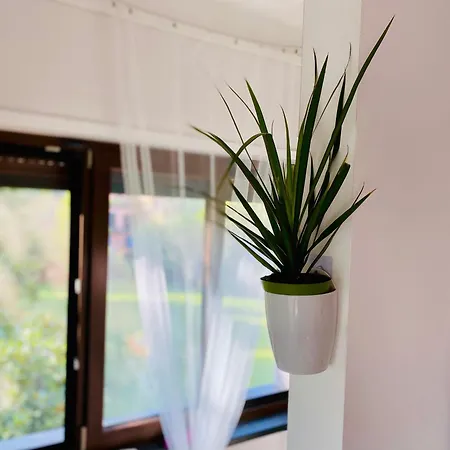 The Luxory Cat לינה וארוחת בוקר 3*