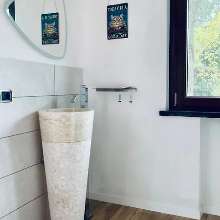 The Luxory Cat מילאנו