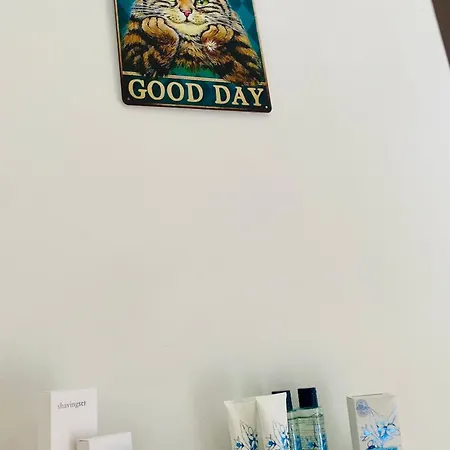 לינה וארוחת בוקר The Luxory Cat