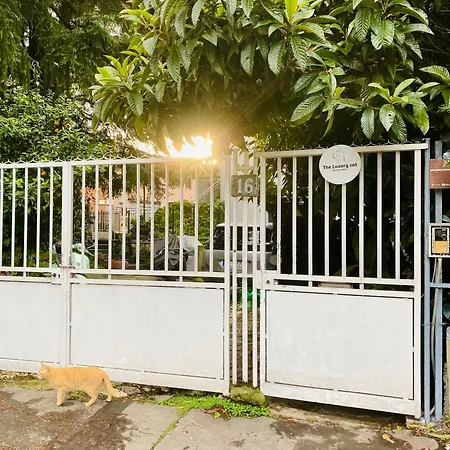 לינה וארוחת בוקר The Luxory Cat מילאנו