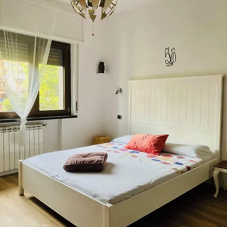 לינה וארוחת בוקר The Luxory Cat 3*