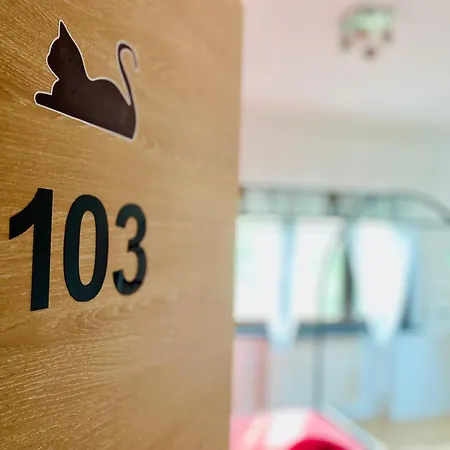 The Luxory Cat فندق مبيت وإفطار 3*