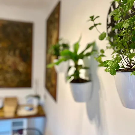 The Luxory Cat فندق مبيت وإفطار ميلان