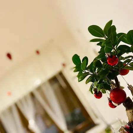 The Luxory Cat فندق مبيت وإفطار 3*